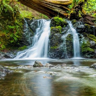 炼爱手游免费下载