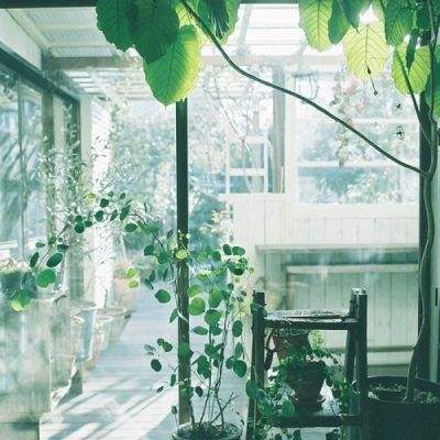 管家婆一码一肖资料大全截图